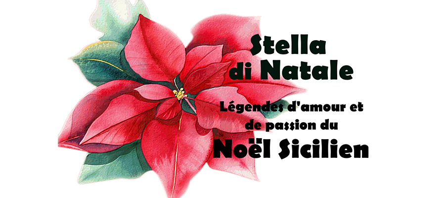 Stella di Natale